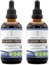 Hemmeligheter av Tribe Bilbær frukt alkohol-fri flytende ekstrakt, USDA Organic Bilberry (Vaccinium Myrtillus) Tørket frukt tinktur Supplement (2x4 FL OZ)