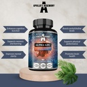 APOLLO'S HEGEMONY Alpha-GPC 600mg per daglig dose - 90 Vegan Choline Kapsler - 99% Choline Alfoscerate Kosttilskudd - Lipid Choline - Minne og konsentrasjon Kapsler