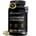 Premium Cistanche Tubulosa Extract 500 mg (120 kapsler) - 50% Echinacosider,10% Acteosider - Naturlig nootropisk for utholdenhet, immunitet og minne - Ingen fyllstoffer, hormonbalanse - styrke Booster for menn