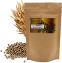 Naturlig organisk Brewers Yeast Pill 환 환 환 3.52(100g) / Kosttilskudd for immunstøtte og nervesystem for kvinne og mann