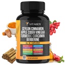 Ceylon Cinnamon Capsules 3000mg Turmeric 3000mg Apple Cider Vinegar 3000 mg Ginseng 2000mg Aloe Vera 2000mg Berberine Supplement 1200mg + Banaba