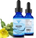 Absonutrix Mullein 300 mg, 4 Oz væske, 300 serveringer, laget i USA, rask absorpsjon, Quality Potent ingredienser, ikke-GMO, GMP sertifisert anlegg, Cruelty-Free produkter