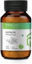 Sheltr Alfafa tabletter, Medicago Sativa, Alle naturlige, ren urter 500mg x 120 tabletter