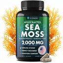 Sea Moss Capsules - Irsk hav Moss Avansert med Burdock Root, Bladderwrack & Muira Puama for immunitet, Gut, & energi - Superfood Sea Moss Supplements w/Raw Sea Moss Powder - 120 Irsk Seamoss Pills