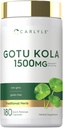 Carlyle Gotu Kola Kapsler 1500mg | 180 greve | Ikke-GMO, Glutenfri | Tradisjonell urt ekstrakt