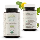 HerbEra Dandelion Leaf USDA Organic 60 kapsler | Naturlig Herbal Supplement | Certified Organic Vegetarian Capsules og Organic Dandelion (Taraxacum Officinale) Tørket Leaf (60 kapsler)